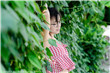 抗美援朝电影免费完整版