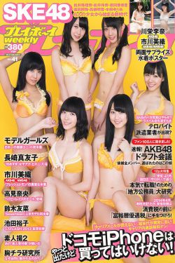 杨门女将李若彤版电视剧